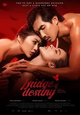 别人的丈夫海报