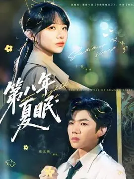 第八年夏眠海报