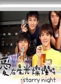 爱在星光灿烂时海报