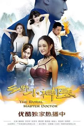 乡野小神医海报