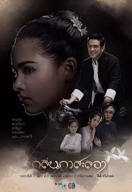 戛萨珑花香[电影解说]海报