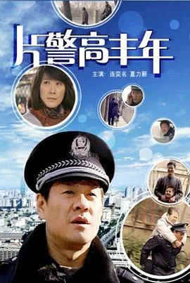 片警高丰年海报