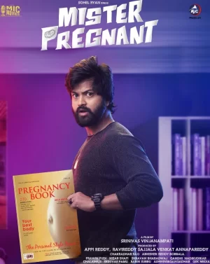 怀孕先生海报