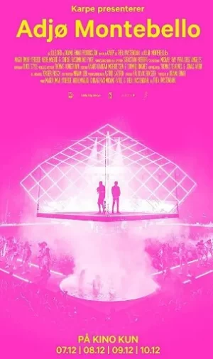 再见蒙特贝罗海报