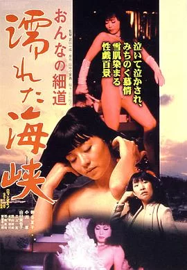 女人的小道:濡湿海峡海报
