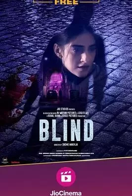 盲证印度版海报