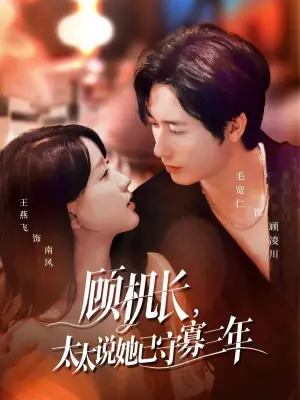 顾机长,太太说她已守寡三年海报