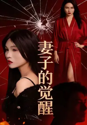 妻子的觉醒海报