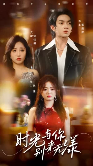 时光与你别来无漾海报