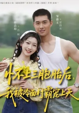 怀上三胞胎后,我被冷面村霸宠上天海报