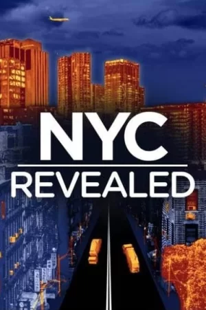 揭露纽约市第一季海报