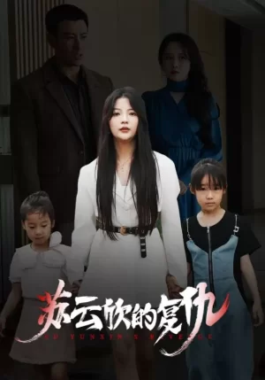 苏云欣的复仇海报