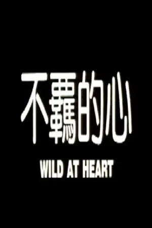 不羁的心海报