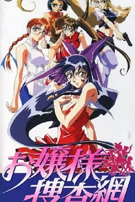 大小姐搜查网海报