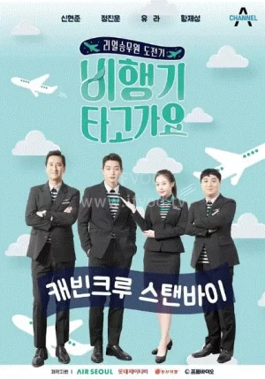 乘着飞机去海报