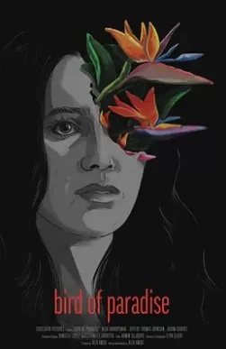 好莱坞梦魇海报