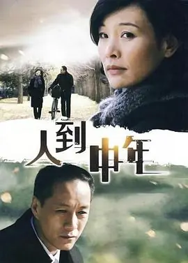 人到中年海报