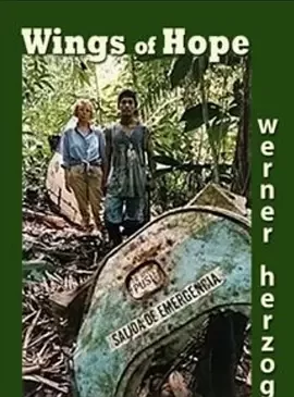 希望的翅膀海报