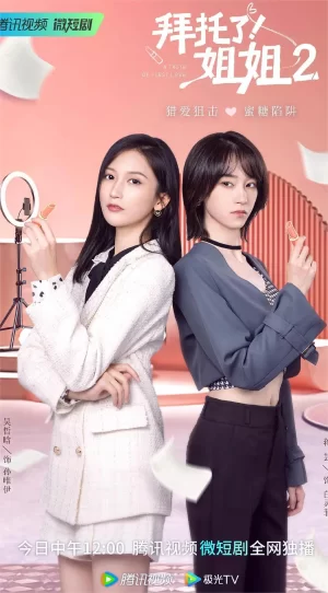 拜托了!姐姐第二季海报