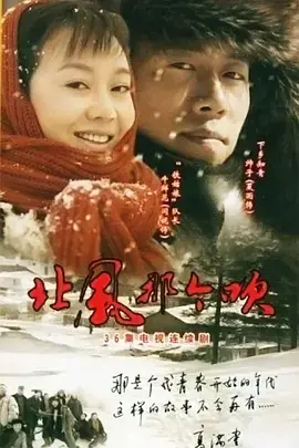 北风那个吹海报