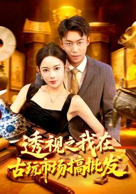 透视之我在古玩市场搞批发海报