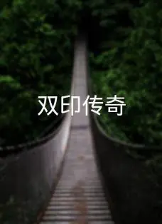 双印传奇海报