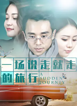 一场说走就走的旅行海报