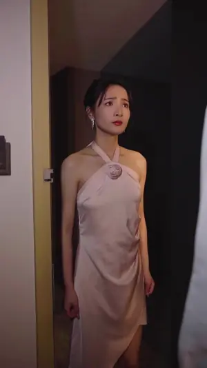 裴总,夫人说她不需要两个老公海报