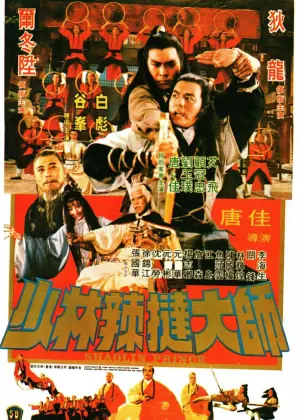 少林传人海报