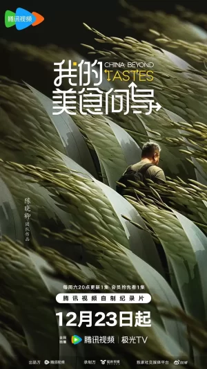 我的美食向导海报