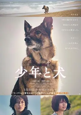 少年与犬海报