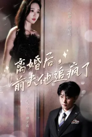 离婚后前夫他追疯了海报