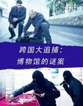 跨国大追捕:博物馆的谜案海报