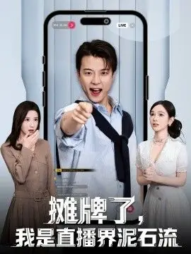 摊牌了,我是直播界泥石流海报