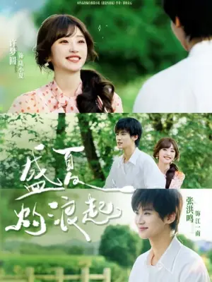 盛夏灼浪起海报