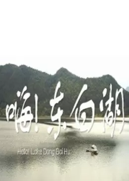 嗨东白湖海报