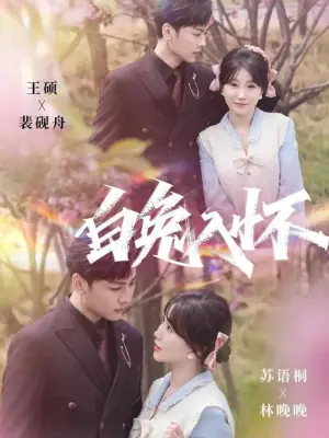 白兔入怀海报