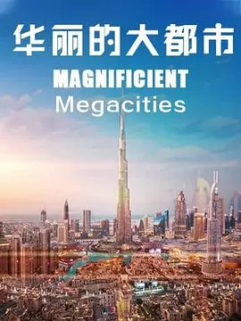 MagnificentMegacities海报