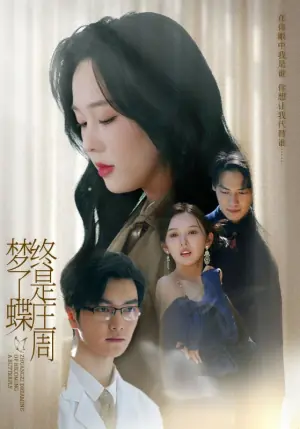 终是庄周梦了蝶海报