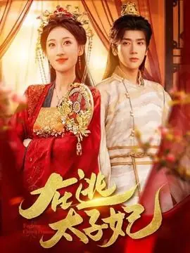 在逃太子妃海报