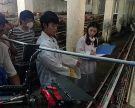 我和教授"羊粪豆"海报