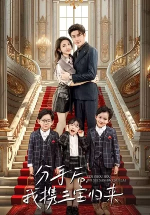 分手后,我携三宝归来海报