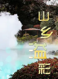 山乡溢彩海报
