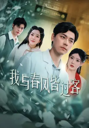 我与春风皆过客海报