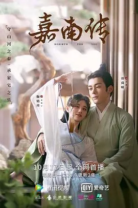 嘉南传海报