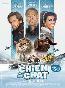 猫狗大乱斗ChienetChat海报