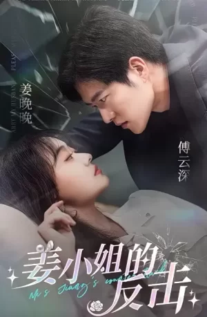 姜小姐的反击海报