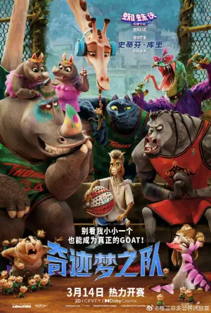 奇迹梦之队海报