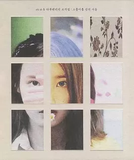 碎片集:29岁的冬天海报