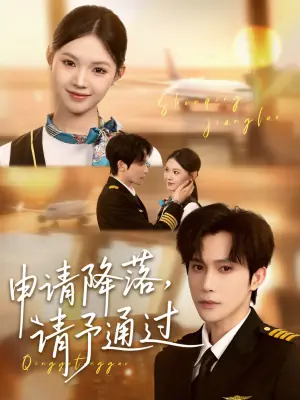 申请降落,请予通过海报